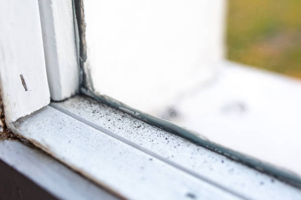 Best Mold Remediation for Healthcare Facilities  in Lake View, AL