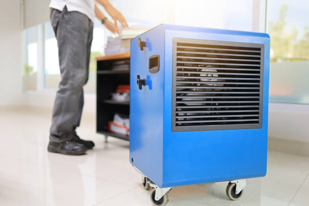 Best Environmental Consulting for Mold Prevention  in Lake View, AL